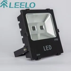 100W Die Cast aluminijske predvode poplava svjetla prazno Kućište bez elektroničkih komponenti